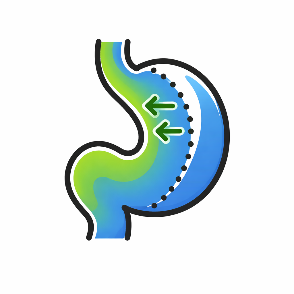 Ilustración de Manga Gástrica